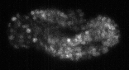 Agentic microscopy thumbnail